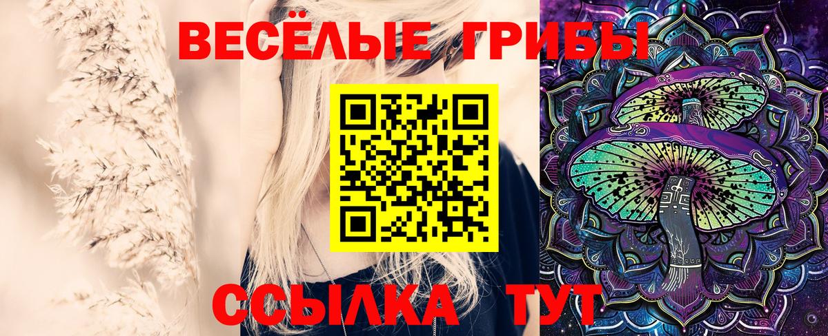 Псилоцибиновые грибы GOLDEN TEACHER  Вход с VPN  Отрадный 